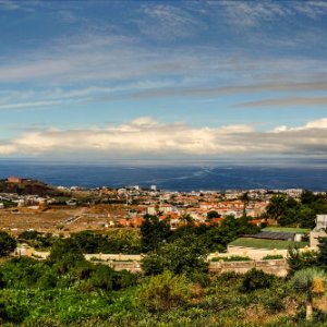 La Orotovo.... Werner Marks